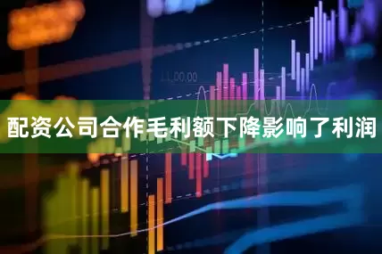 配资公司合作毛利额下降影响了利润