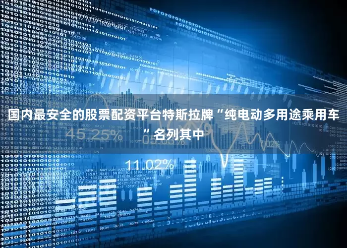 国内最安全的股票配资平台特斯拉牌“纯电动多用途乘用车”名列其中