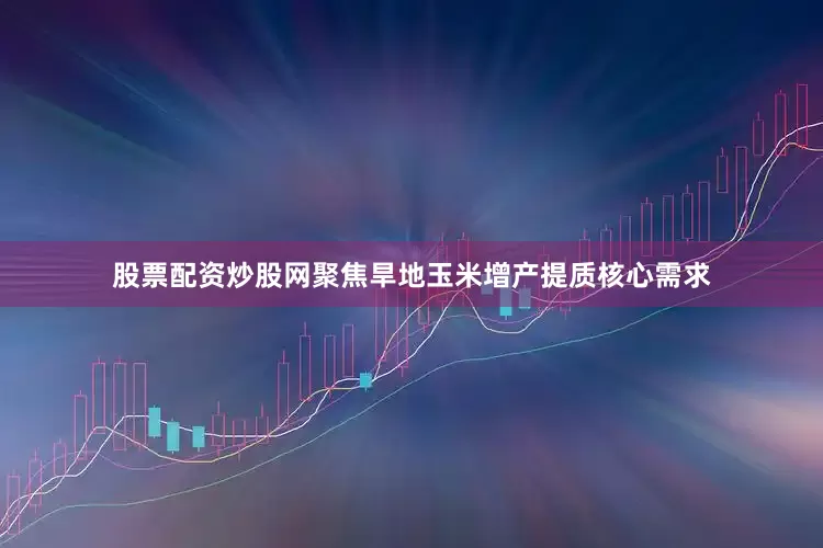 股票配资炒股网聚焦旱地玉米增产提质核心需求