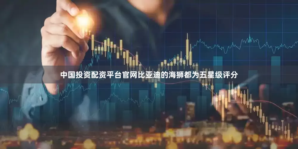中国投资配资平台官网比亚迪的海狮都为五星级评分
