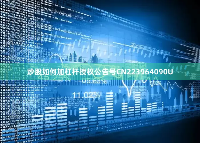 炒股如何加杠杆授权公告号CN223964090U