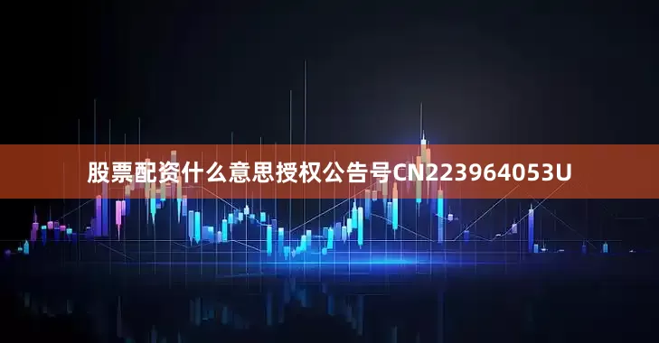 股票配资什么意思授权公告号CN223964053U