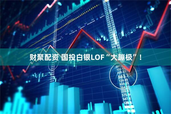 财聚配资 国投白银LOF“大蹦极”！