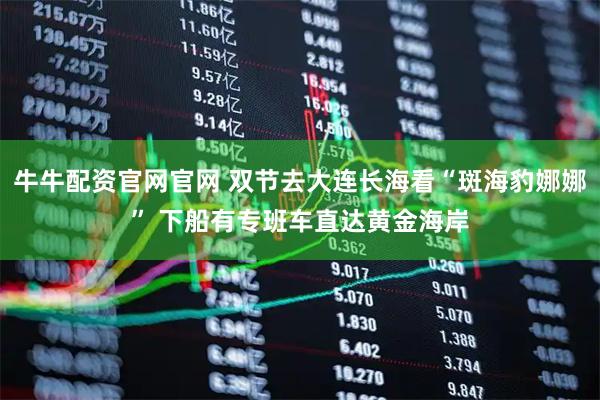牛牛配资官网官网 双节去大连长海看“斑海豹娜娜” 下船有专班车直达黄金海岸